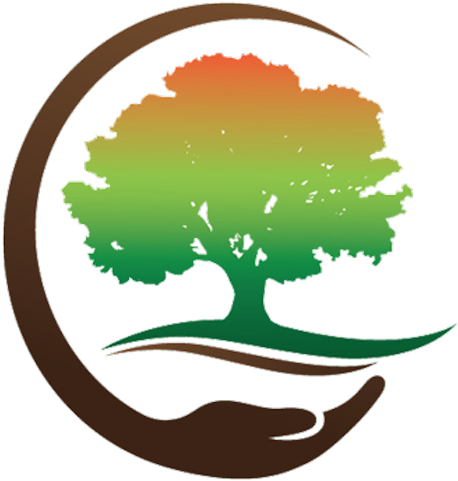 Davis Tree & Yard Care (500x513)