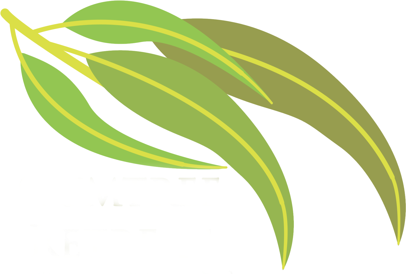 Leave A Reply Cancel Reply - Gumtree Leaf (1641x1101)