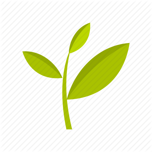 Leafs Icon - Tea Tree Icon (512x512)