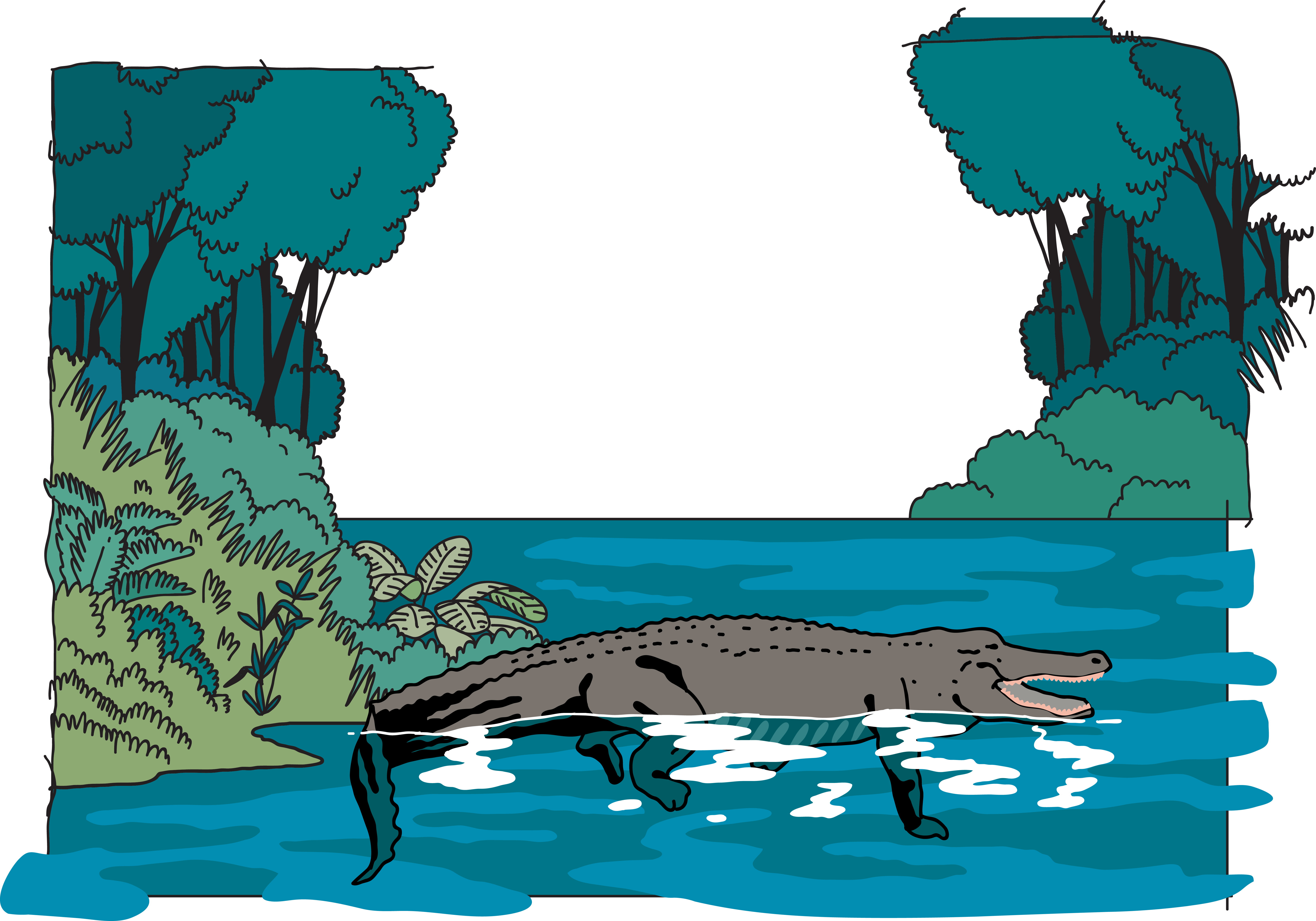 Amazon Rainforest Jungle Euclidean Vector Illustration - Vector Graphics (6660x4661)