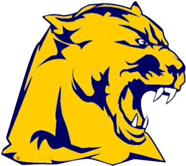 Whitmer High School Logo (382x382)