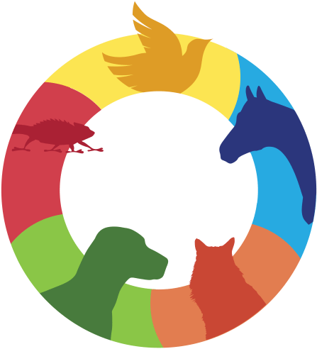 Client (512x512)