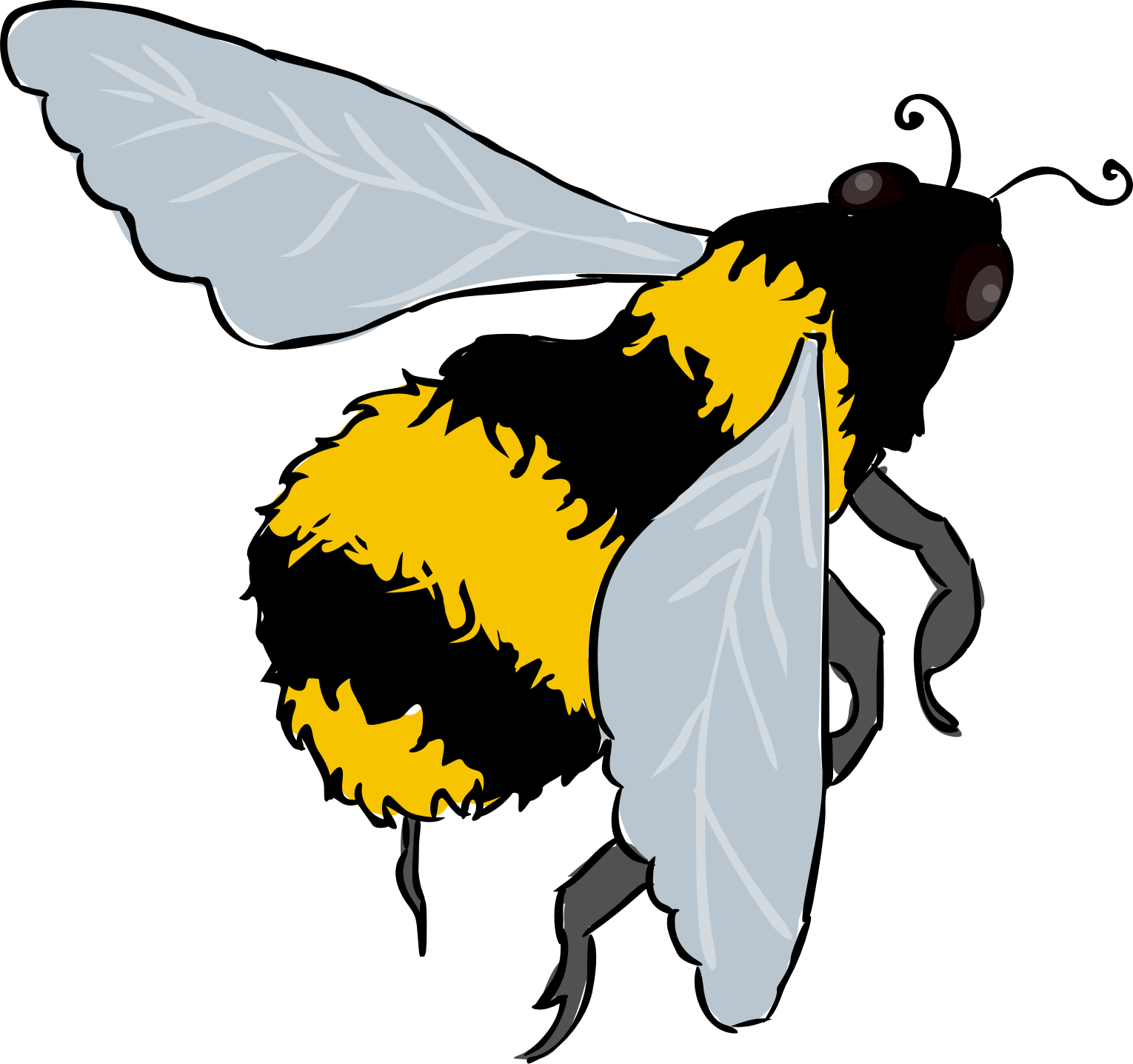 Insect (1530x1437)