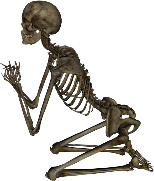 View Samegoogleiqdbsaucenao Skeleton , - Skeleton (1032x774)