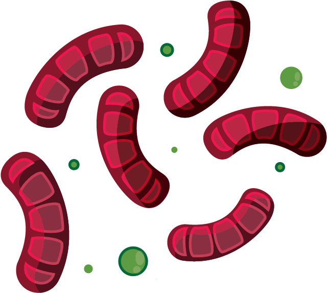 Virus 2-08 - Illustration (724x671)