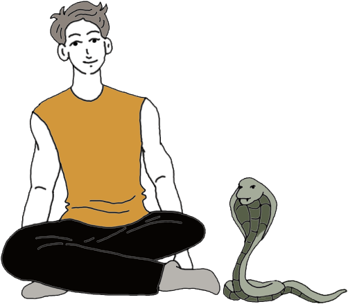 Snakes (600x600)