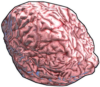 Fresh Brain - Rust Brain Rock (360x360)