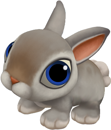 Rabbit Png - Rabbit (480x480)