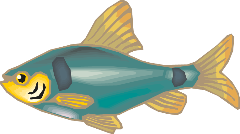 Creative Commons Attribution - Goldfish (765x428)