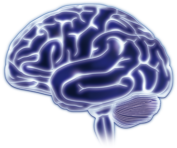 Neurologist (400x330)