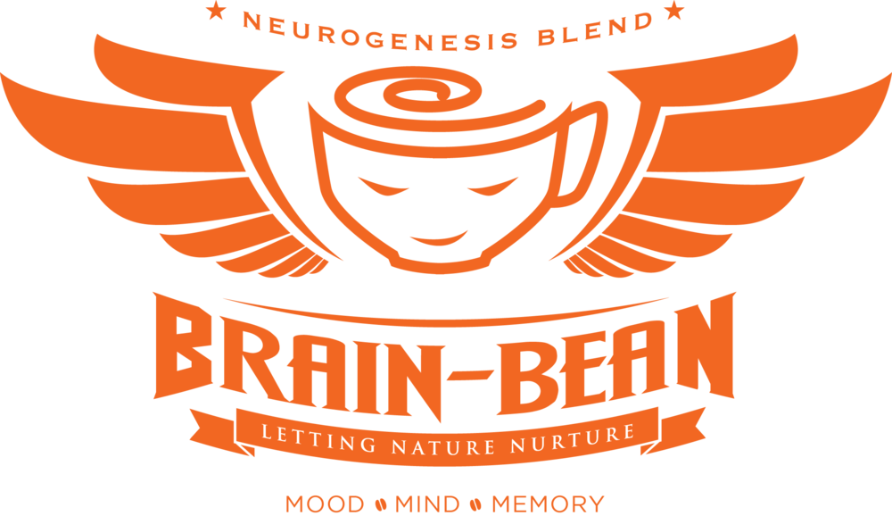 Brain-bean Logo - Brain (1000x578)