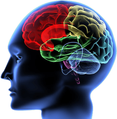 Start Brain Assessment - Ormus,monoatomic Gold,ormus Gold 740mls (450x425)
