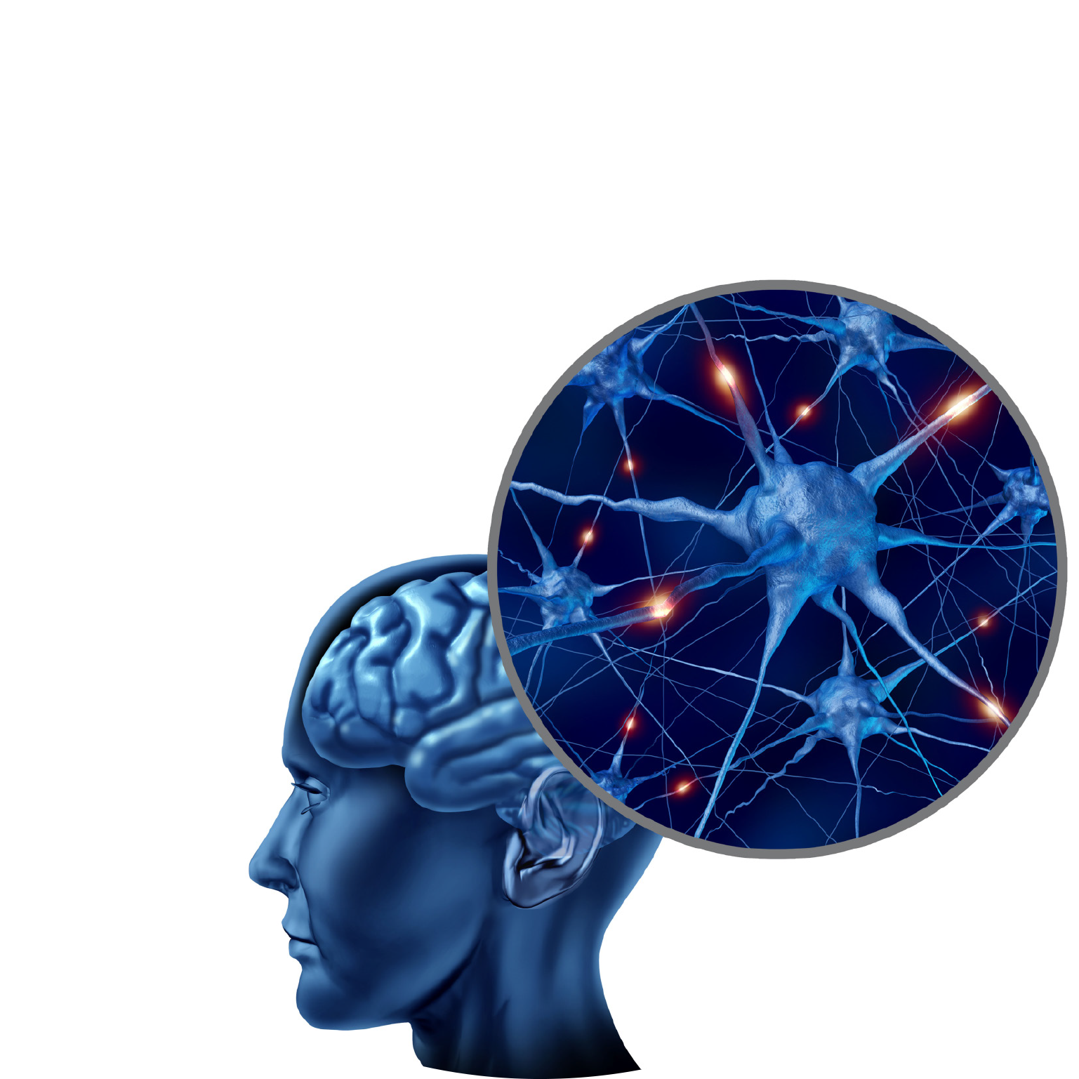 Brain Showing Neural Pathways - Neuron (1791x1791)
