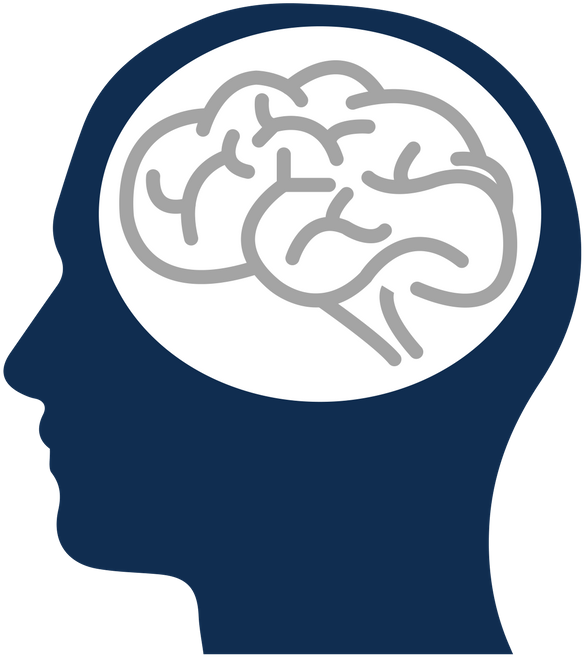Brain (800x800)