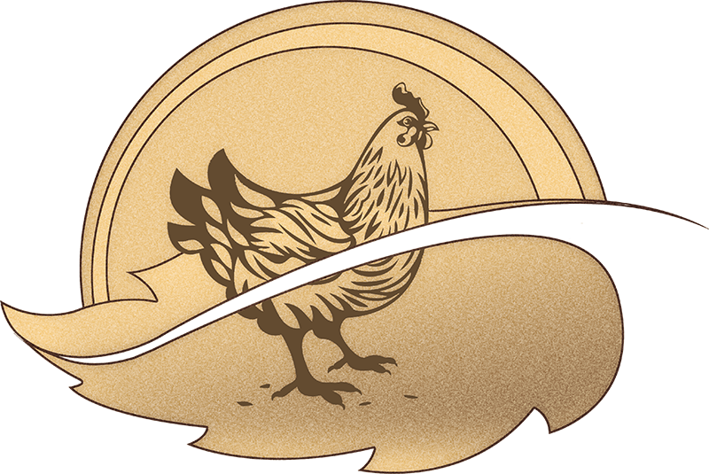 Rooster (800x535)