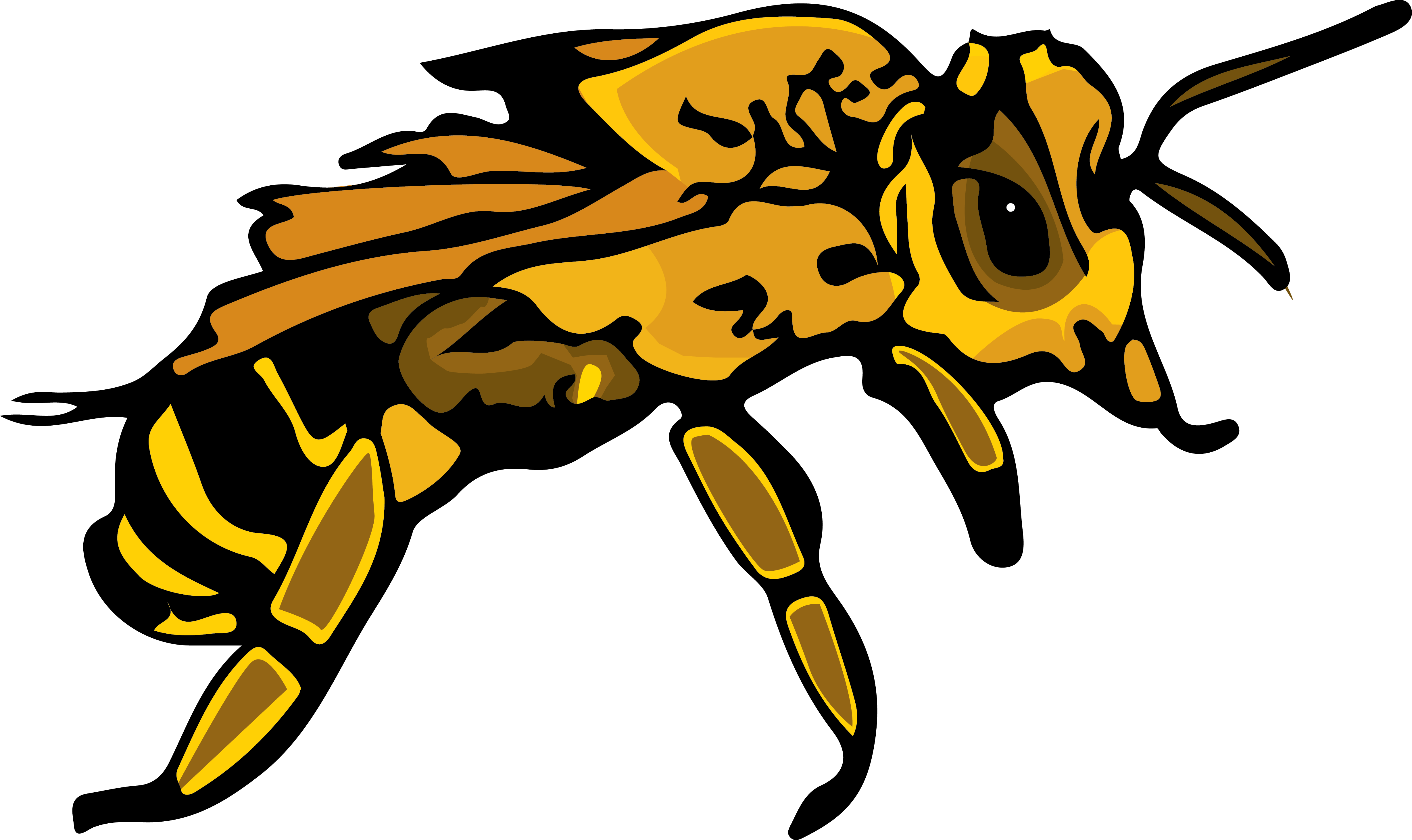 Honeybee - Honeybee (4913x2923)