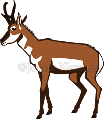 Pronghorn - Pronghorn Clipart (352x400)