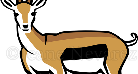 Desenhar Gazela (500x262)