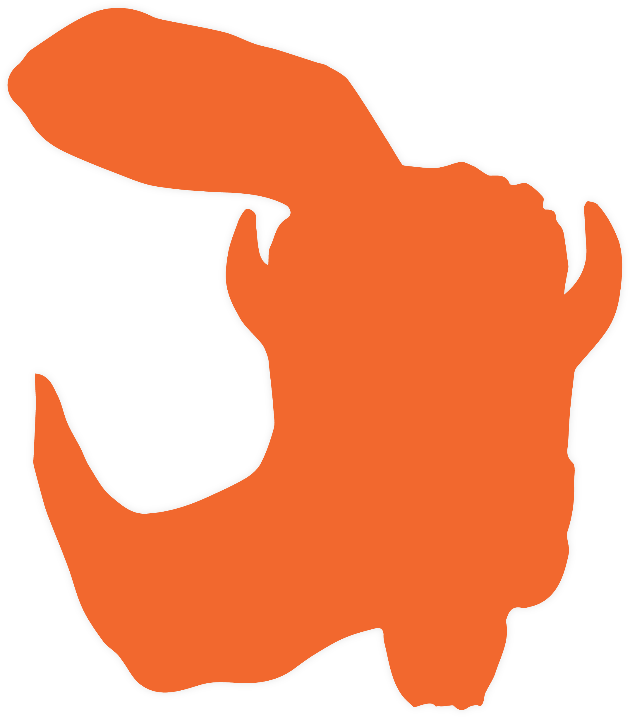 Bison - Bison (2500x2500)