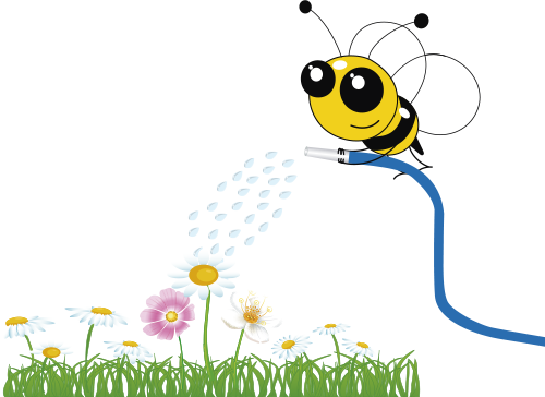 Buzzing Bee - Educational Assessment (500x364)