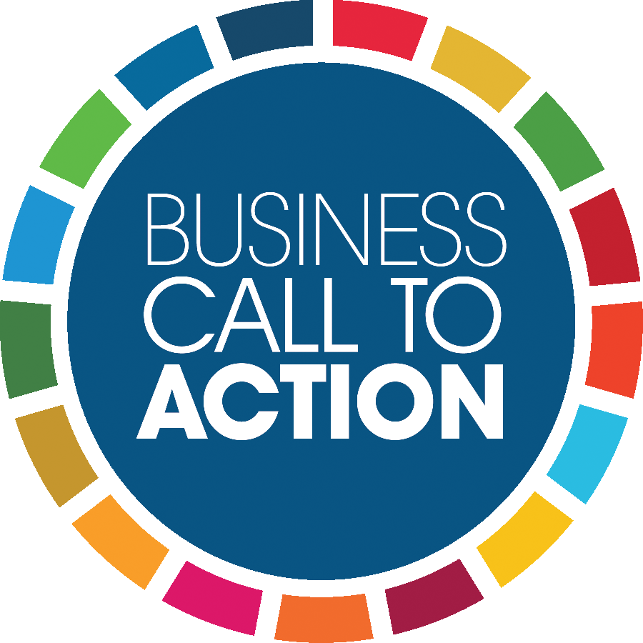 Bcta Sdg Logo Ideas - Sdgs And Private Sector (900x900)