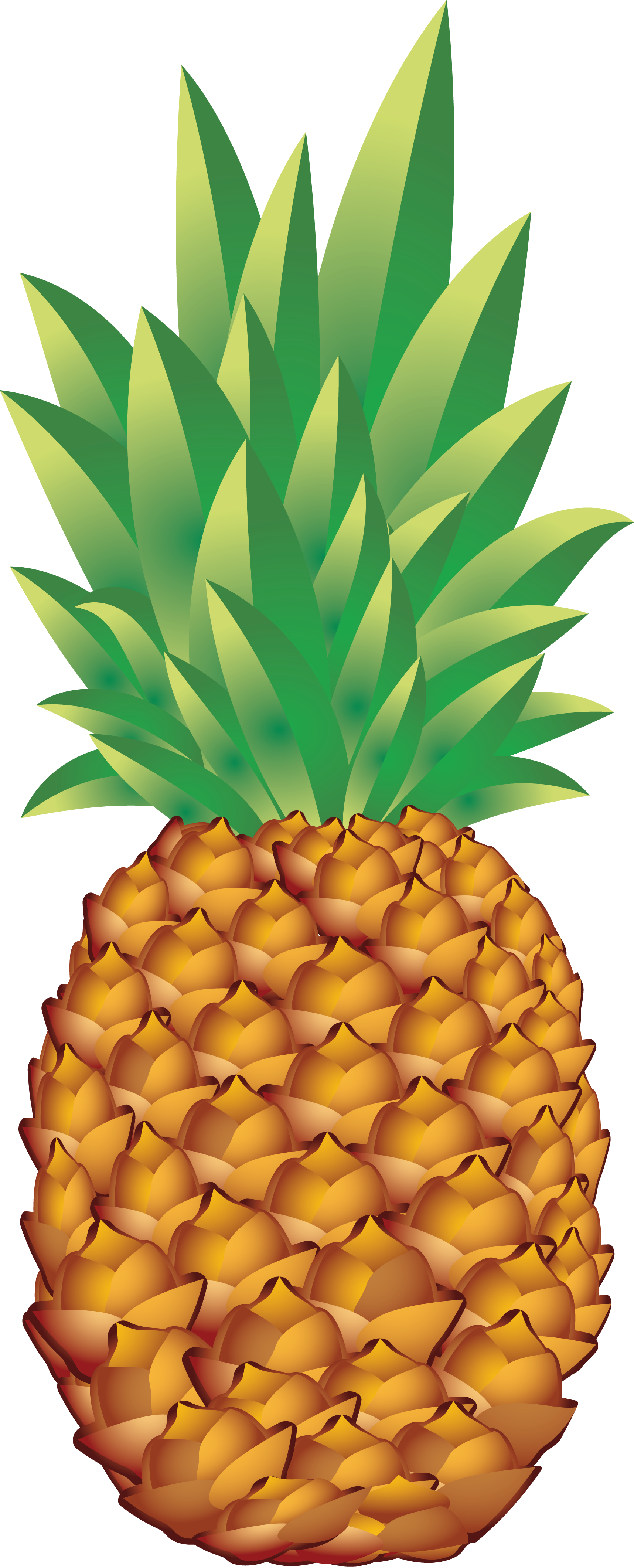 Pineapple Png (1716x4243)