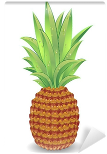 Pineapple (400x400)