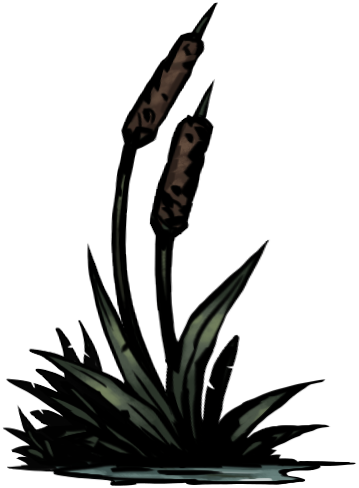 Cattail - Portable Network Graphics (359x488)