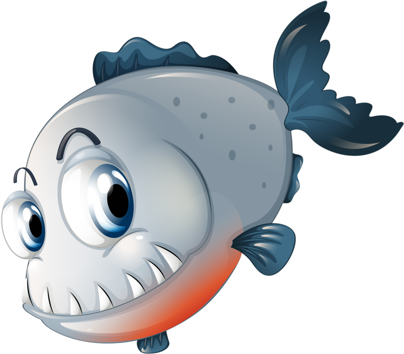 ○•‿✿⁀ocean Safari‿✿⁀•○ - Fish (800x718)