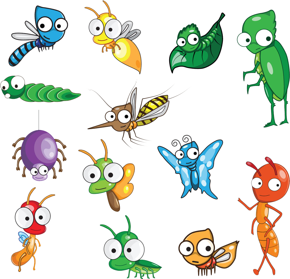 Insect Cartoon Drawing Clip Art - Vector Graphics (1000x956)