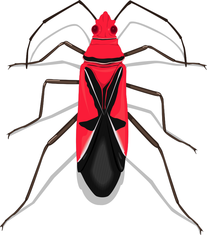 Insect 27 Free Vector - Red Insect (705x800)