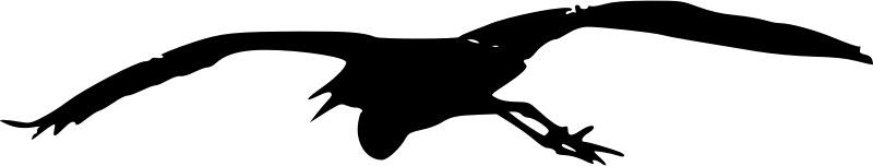 Medium Image - Heron (1797x340)