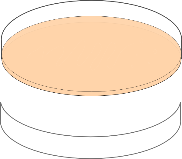 Clip Art (600x525)