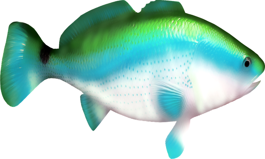 Fish Clipart Eleven - Рыбки Пнг (1037x623)