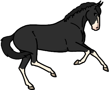 Reference By Eefketje - Stallion (500x375)