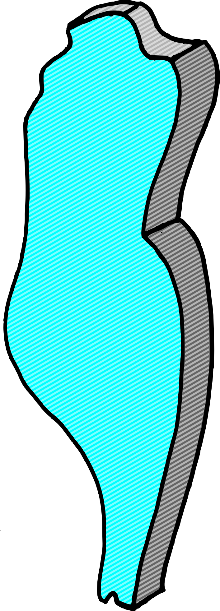 Draw-coffin - Drawing (707x1965)