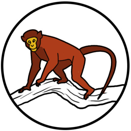 204 - 204 (440x440)