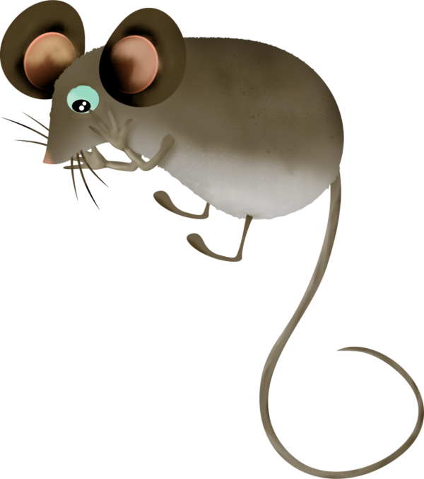 Mice - Rat (600x677)