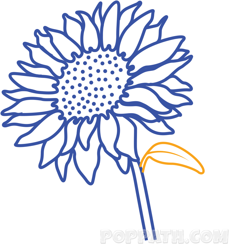 Attach A Leaf To It - Common Sunflower (1000x1000)