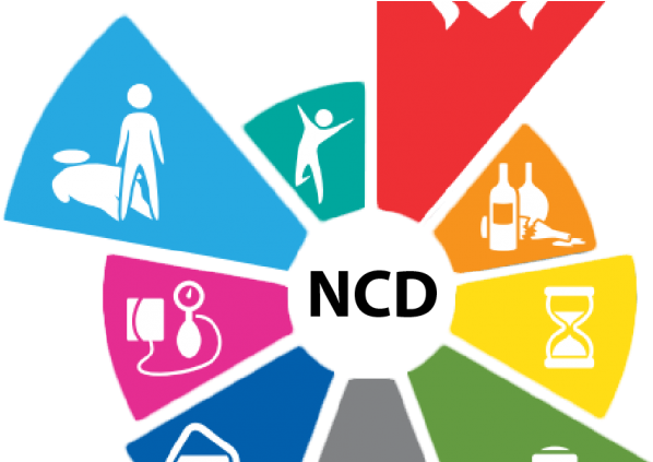 Non Communicable Diseases Icon (750x422)