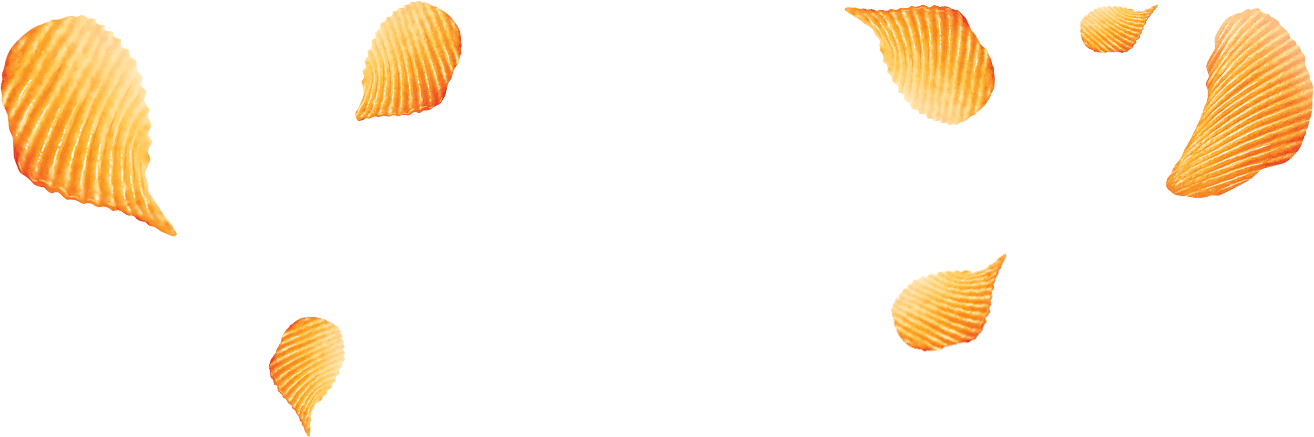 Special Salt - Shell (1314x437)