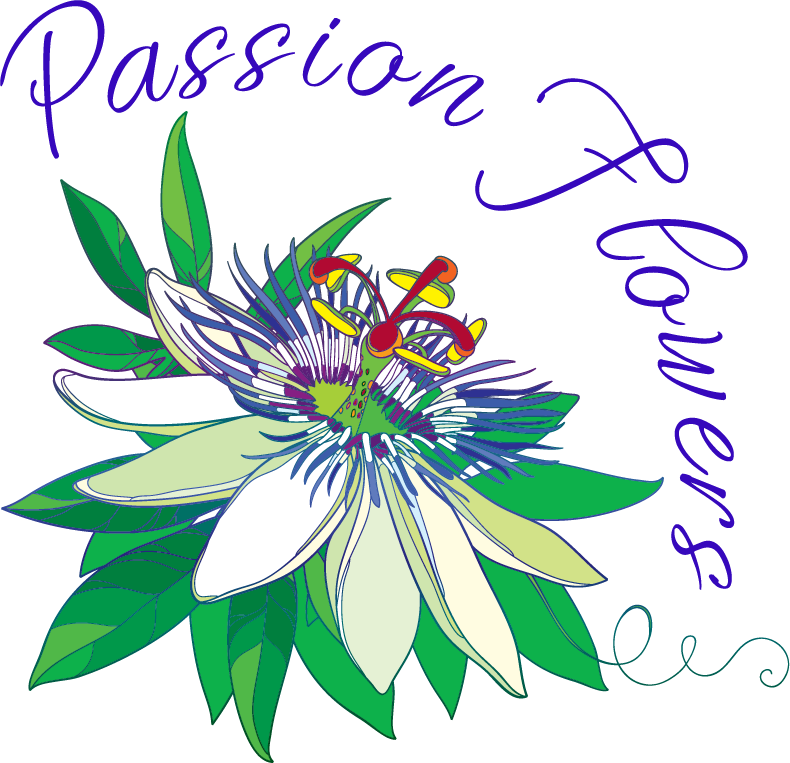 Passionflower Vector (790x763)