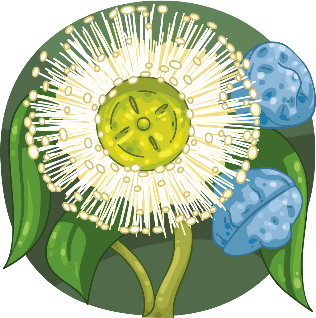 Dayflower (1024x1024)