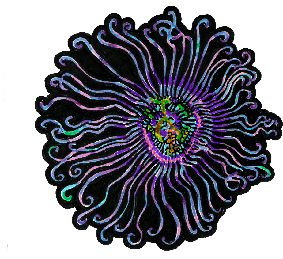 Circle (994x879)