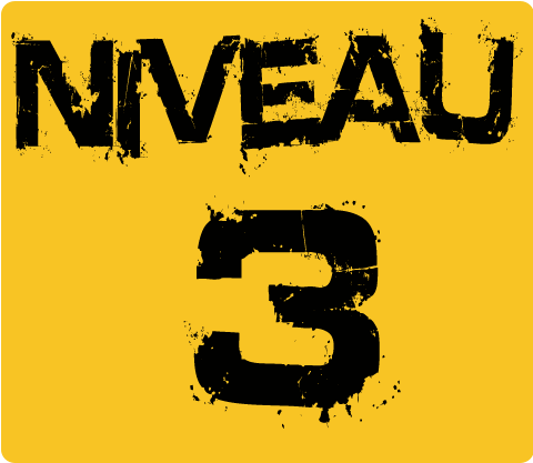 Niveau 3 - Niveau 3 (480x600)