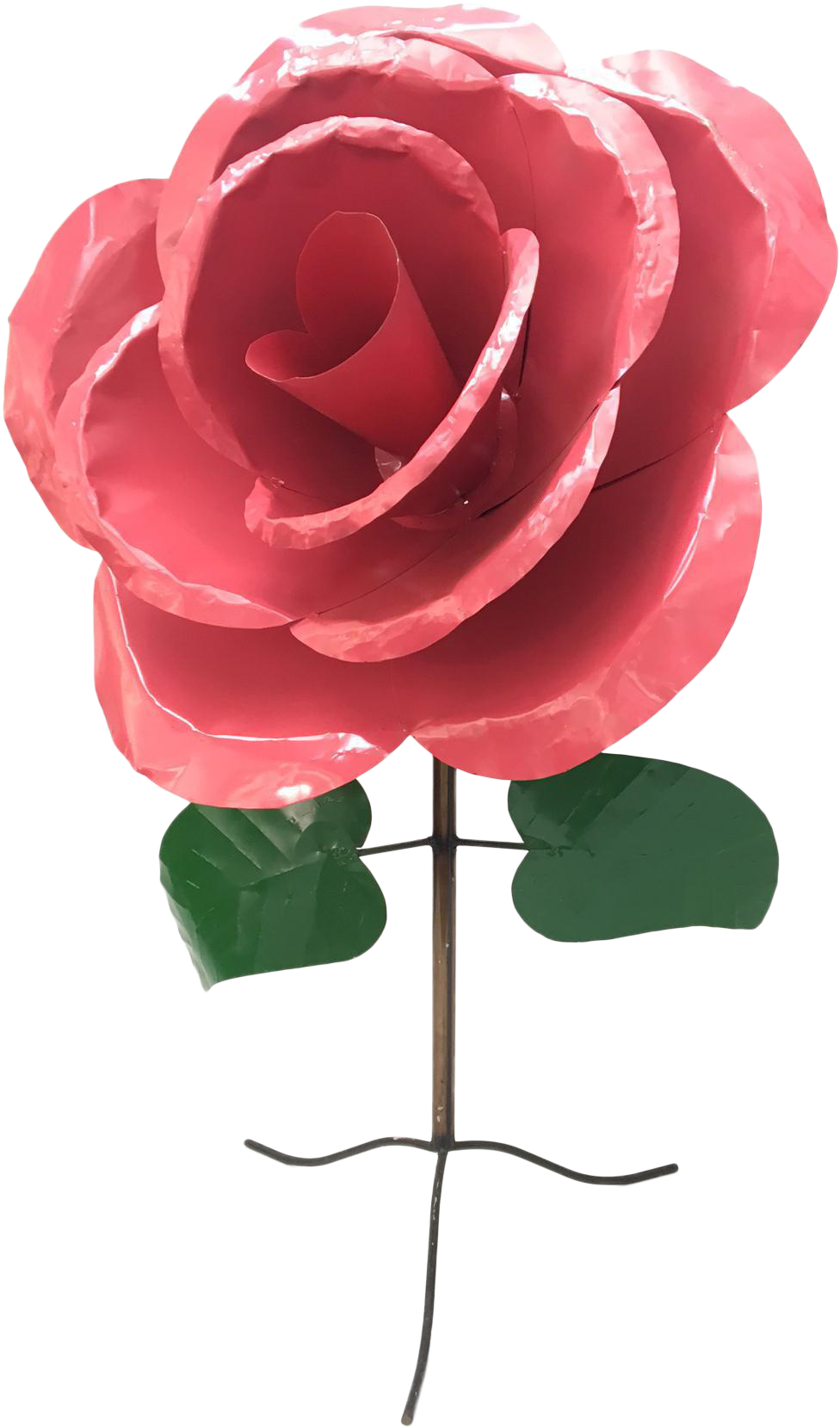 Garden Roses (1083x1842)