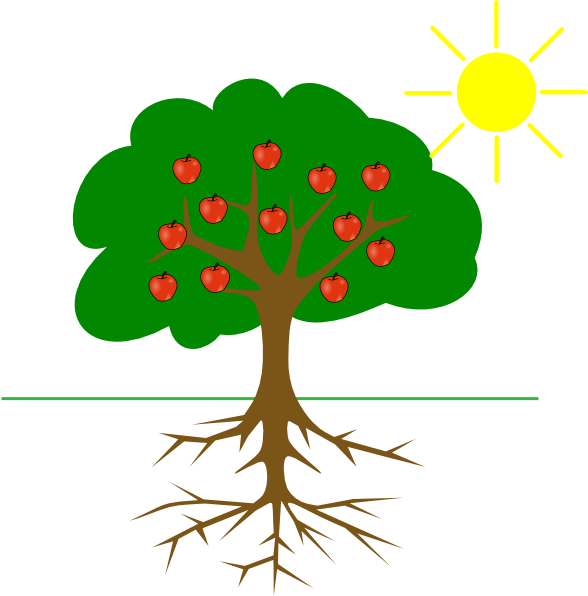 Root Cause (588x596)