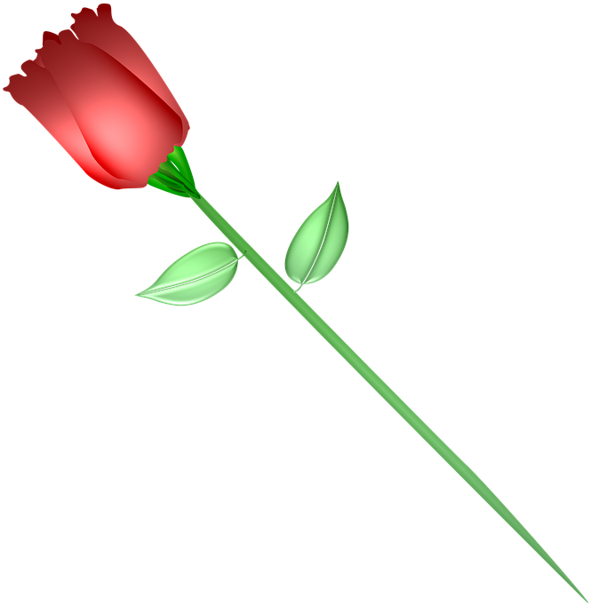 Romantic Png (820x720)