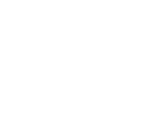 Noise (512x512)