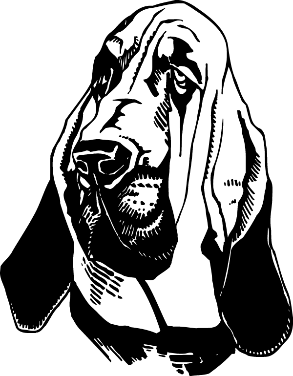 Decal (600x770)